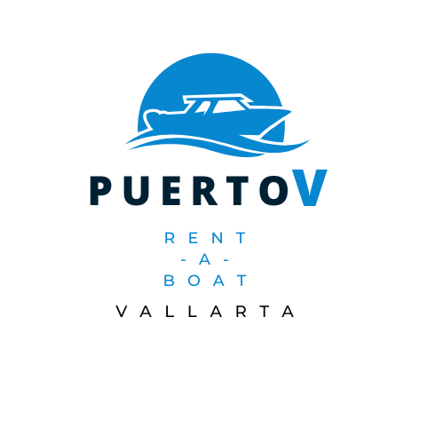 PuertoV Logo